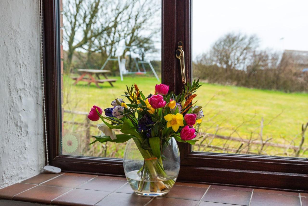 Polrunny Farm Blackberry Cottage - Cornwall Bliss In Sight Of The Sea Boscastle Zewnętrze zdjęcie