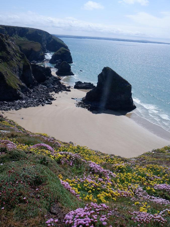 Polrunny Farm Blackberry Cottage - Cornwall Bliss In Sight Of The Sea Boscastle Zewnętrze zdjęcie