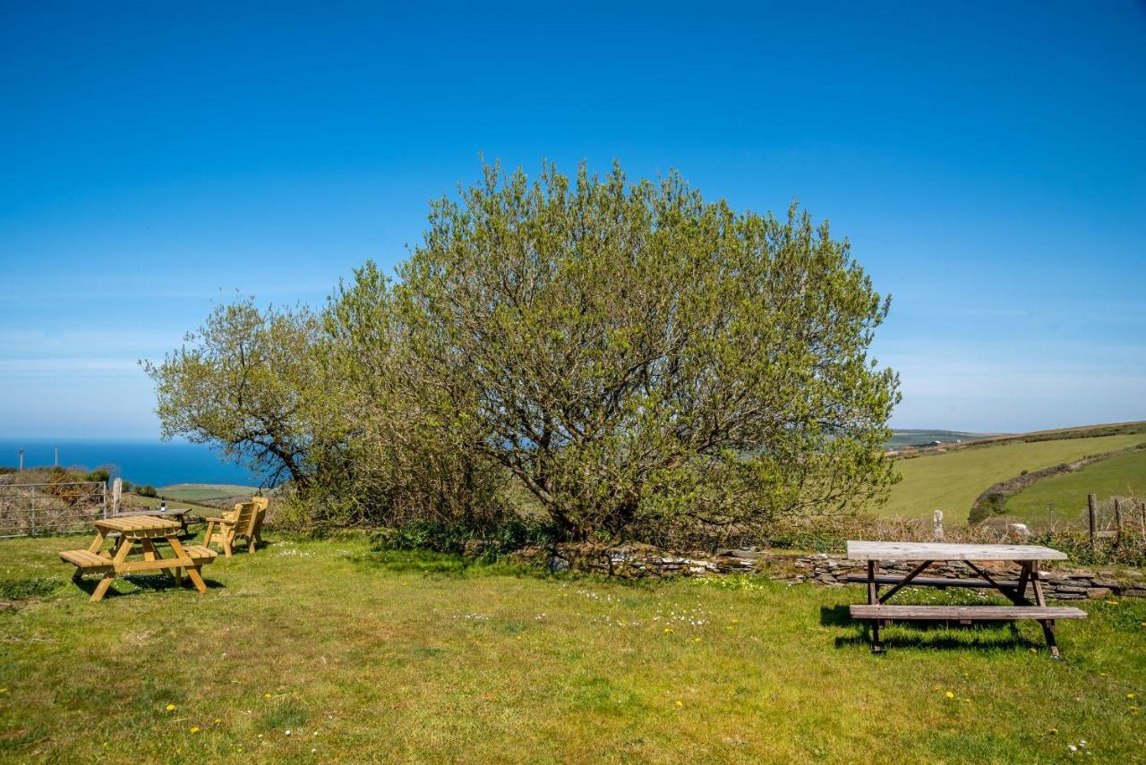 Polrunny Farm Blackberry Cottage - Cornwall Bliss In Sight Of The Sea Boscastle Zewnętrze zdjęcie
