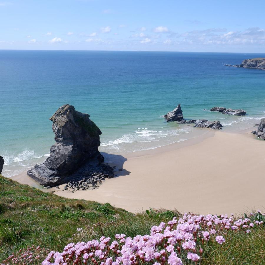 Polrunny Farm Blackberry Cottage - Cornwall Bliss In Sight Of The Sea Boscastle Zewnętrze zdjęcie