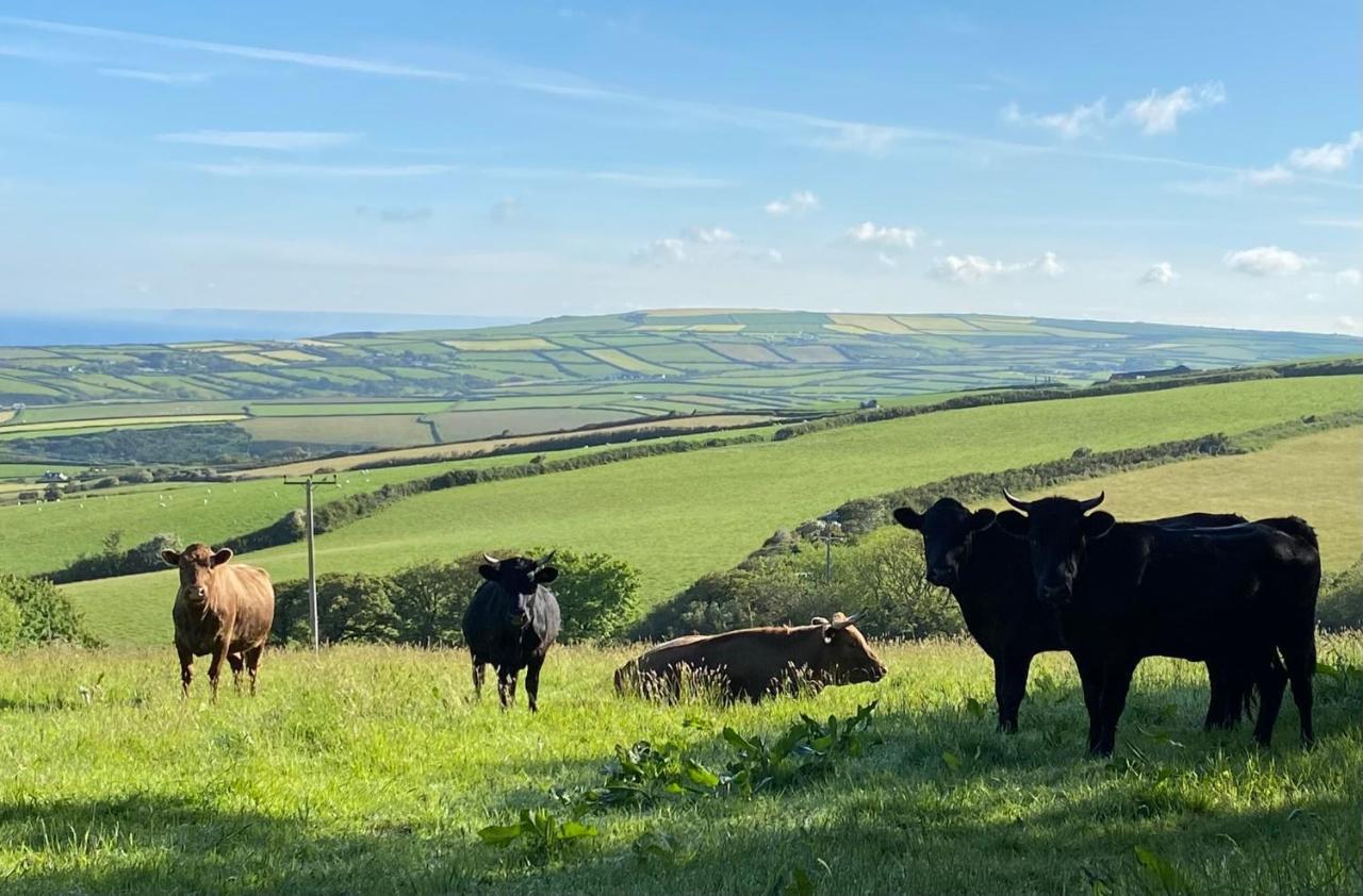 Polrunny Farm Blackberry Cottage - Cornwall Bliss In Sight Of The Sea Boscastle Zewnętrze zdjęcie