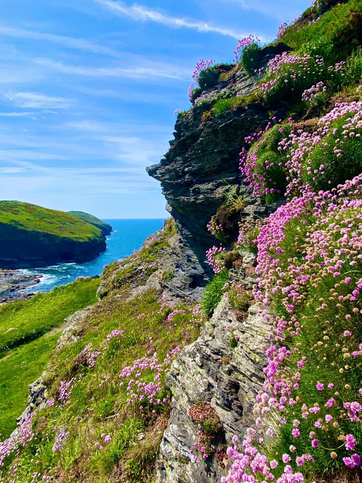 Polrunny Farm Blackberry Cottage - Cornwall Bliss In Sight Of The Sea Boscastle Zewnętrze zdjęcie
